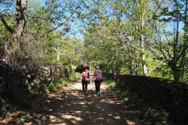 Paseo en la Alberca