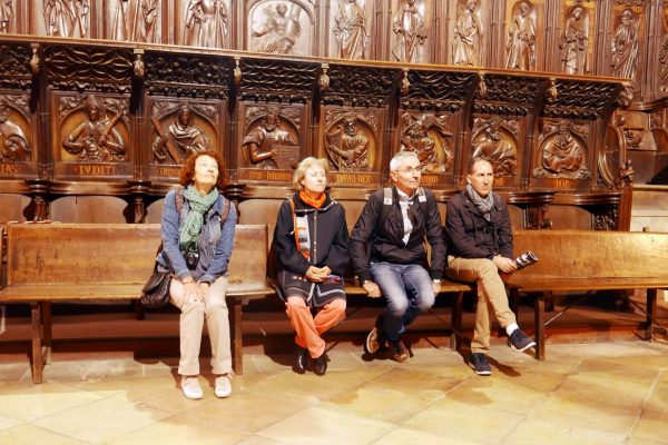 Visita de Molinaseca