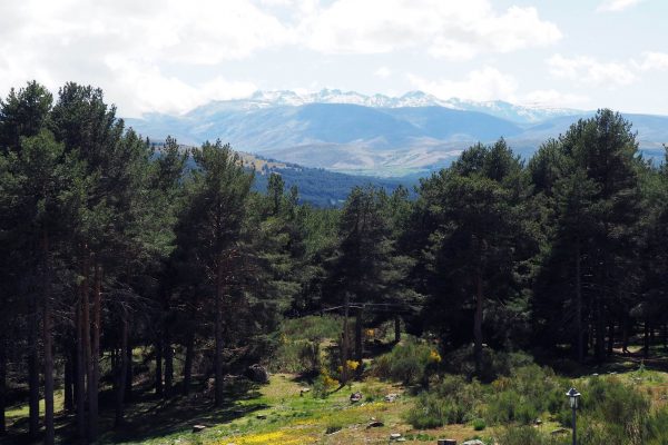 Vista desde el parador Sierra de Gredos